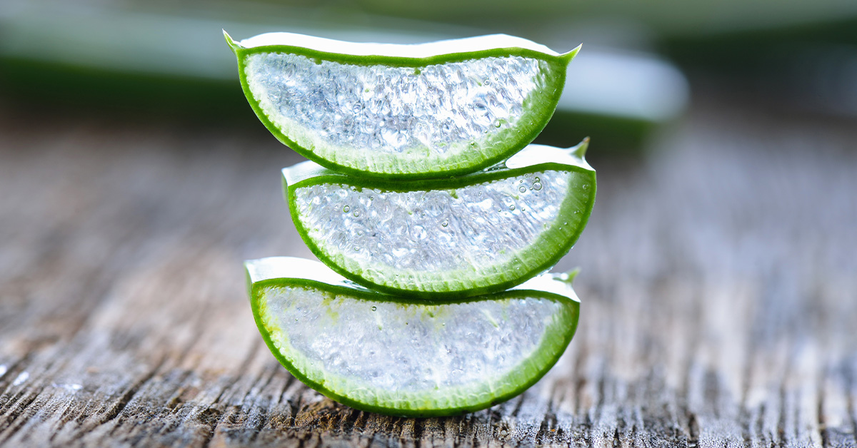 How to Use Aloe Vera Gel for Keloids Healthy Huemans