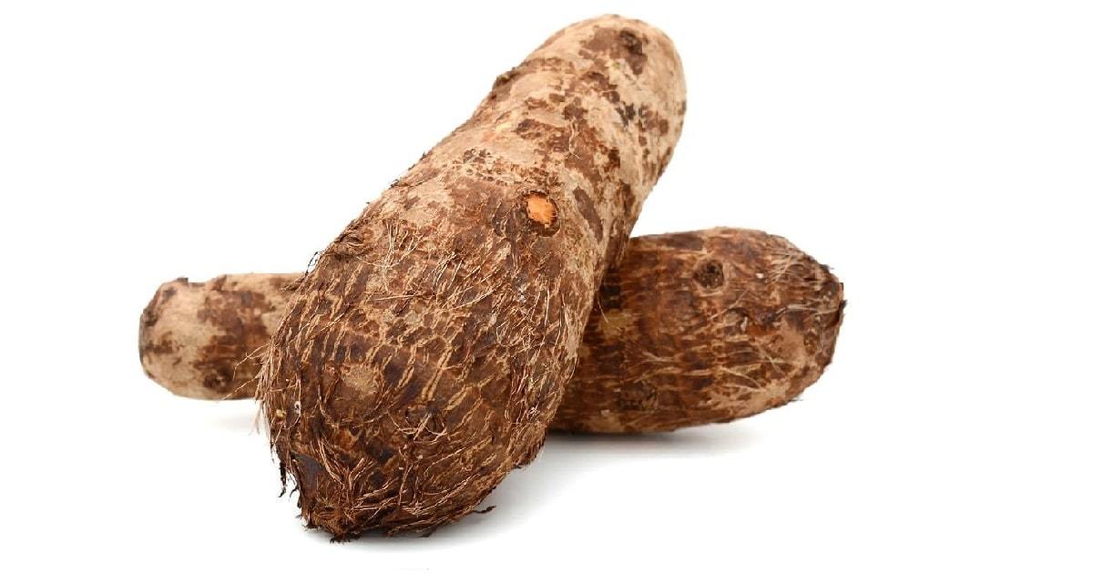 17 Health Benefits of Eating Cocoyam Healthy Huemans