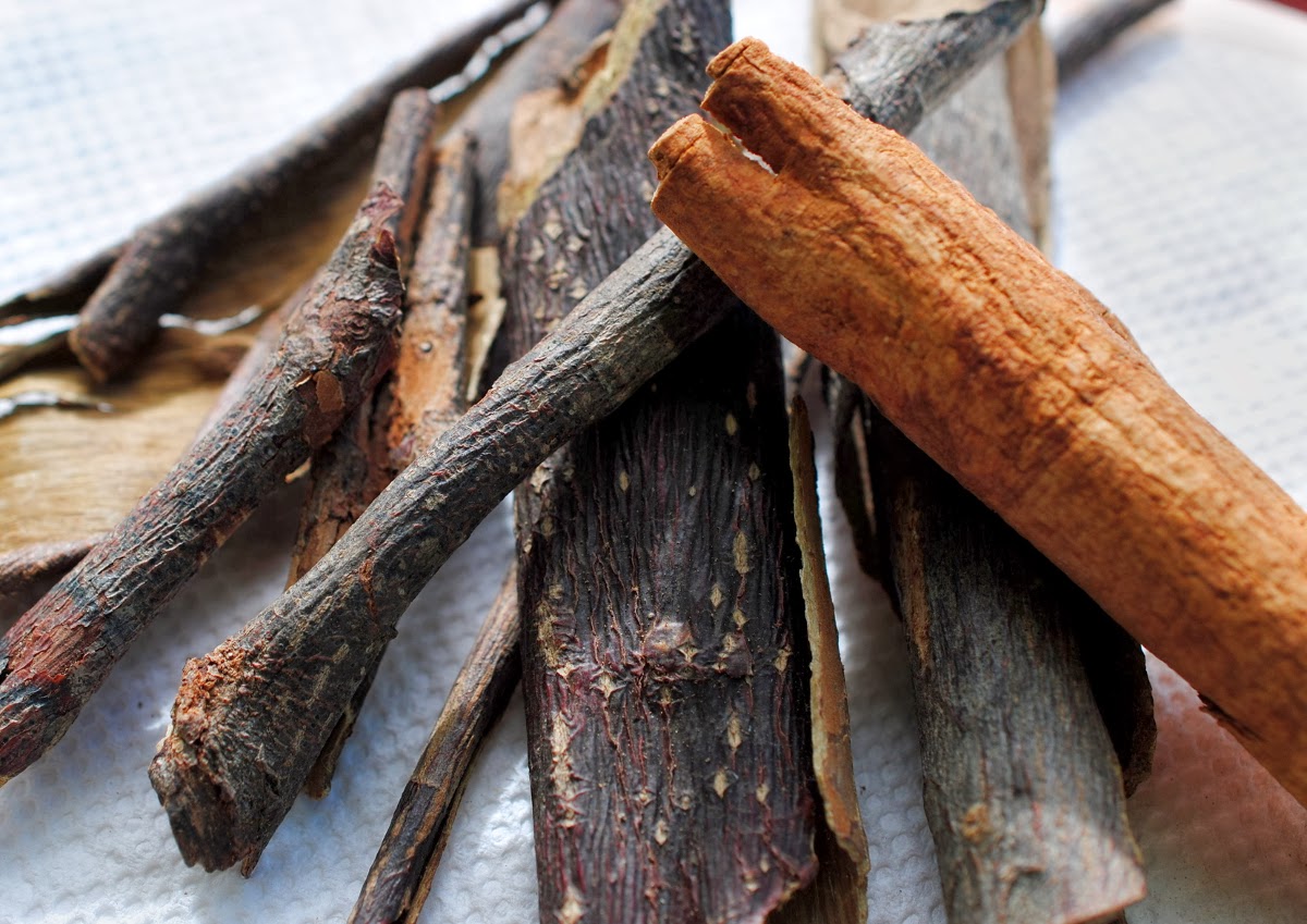 11 Amazing Mauby Bark Benefits Healthy Huemans