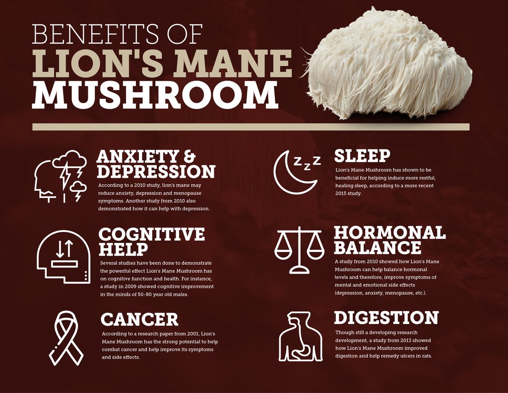 Functions of Lion's mane mushroom extract powder Functions of Lion's mane mushroom extract powder