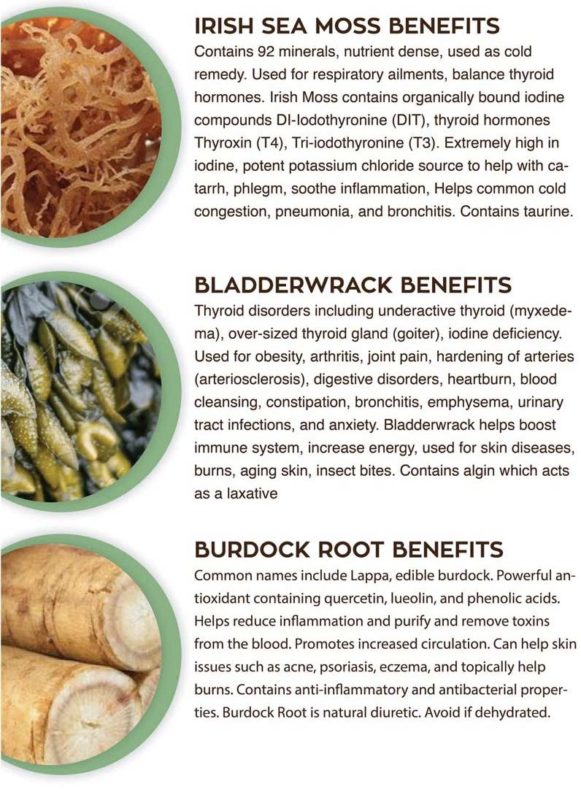 sea moss bladderwrack and burdock root benefits