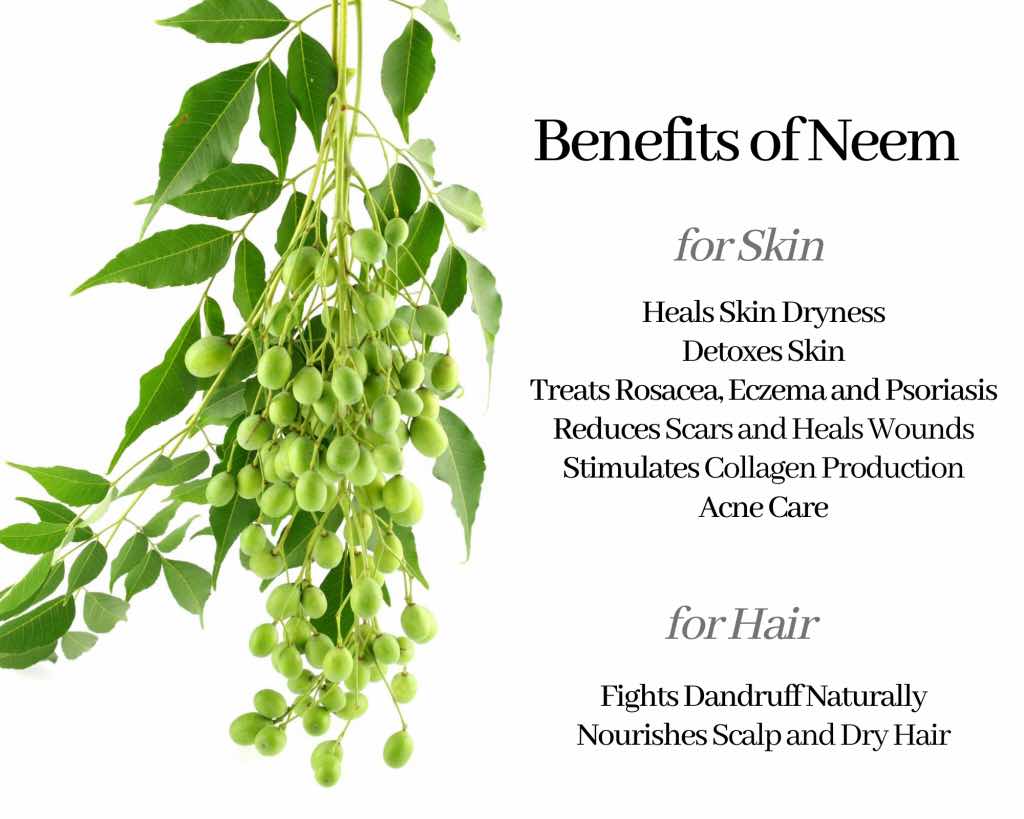 5 Skin Healing Benefits of Neem Soap - Healthy Huemans