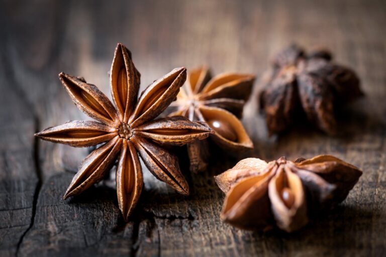 7 Amazing Star Anise Benefits for Skin Healthy Huemans